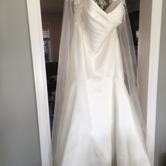 Essence of Australia plus size D3340 - Picture 9 of 12